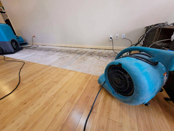 Professional Burst Pipe Water Damage technician working in Newman Lake, WA